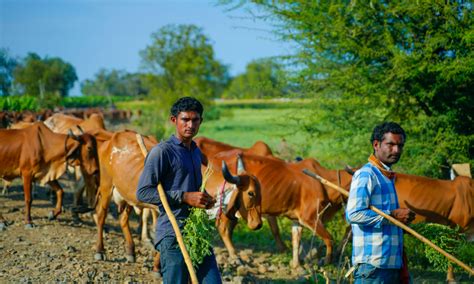 80 Million Workers Delisted from MGNREGS in 2 Years: Report - Newsreel Asia
