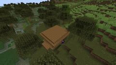 Image result for Minecraft Swamp Hut Tutorial