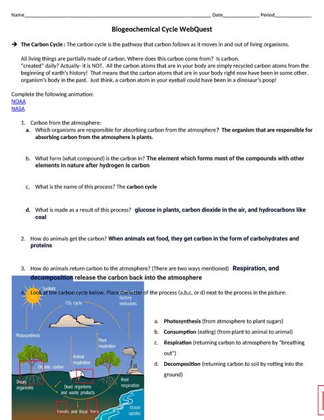 Biology Biogeochemical Cycle Webquest (1) review - - Studocu