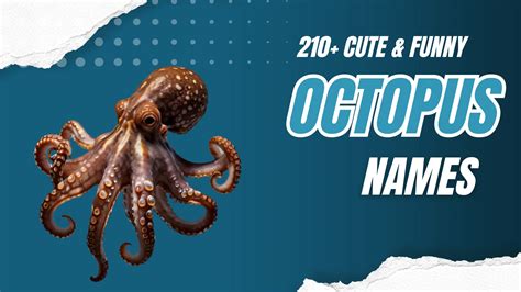 Funny Names For Octopus
