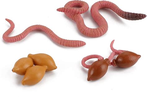 Buy Life Cycle of Earthworm Toys Earthworm Life Cycle Figurines Set ...