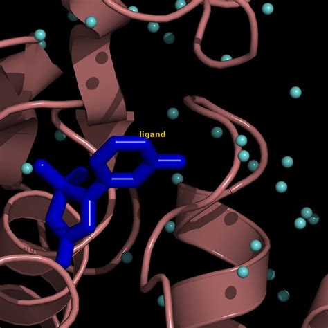 Image result for Actions Generate Electrostatic Surface PyMOL