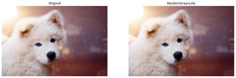 HSV Example — NVIDIA DALI