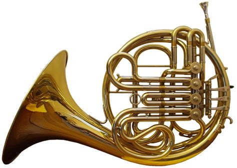 Image result for Brass Instruments French Horn