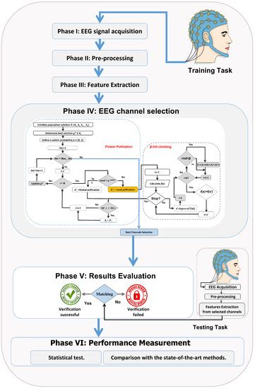 EEG Channel Selection Based User Identification via Improved Flower ...