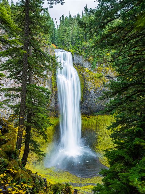 Salt Creek Falls : Salt Creek Falls, Oregon : Lance B. Carter Photography