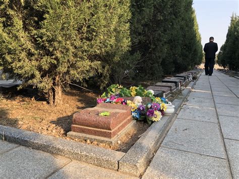 北京生态葬占比超四成：树葬花坛葬自然葬 绿树花间思故人 | 北晚新视觉