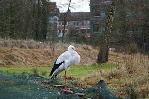 Top 18 things to do in Oldenburg (Updated Sep 2024)