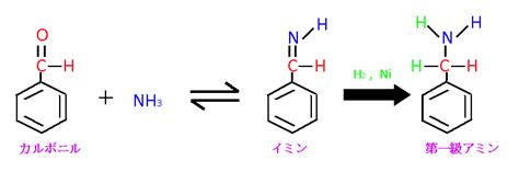 Image result for Ringed Python