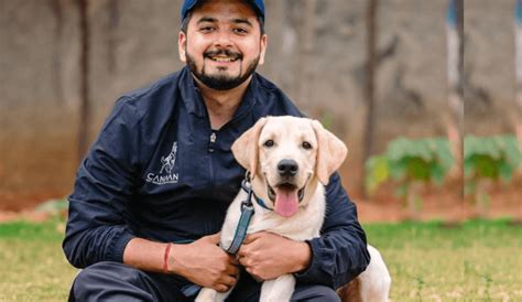 Why Is Pet Training Important? – Cadotails