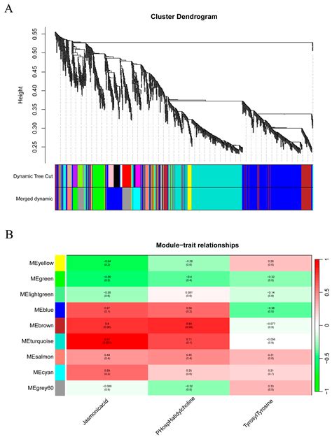 Weighted Gene Co-Expression Network Analysis Uncovers Critical Genes ...