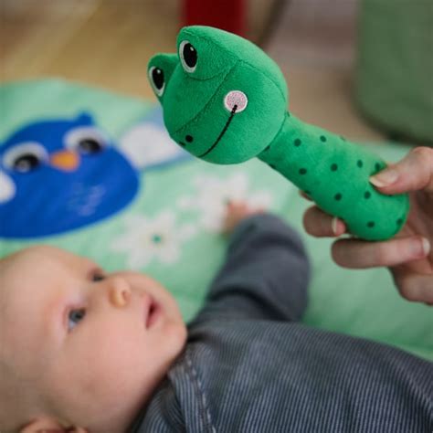 SANDBI rattle, frog/green - IKEA