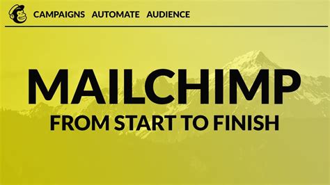 MailChimp Tutorials for Beginners 的图像结果