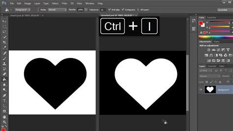 Image result for Reverse Color Image Effect