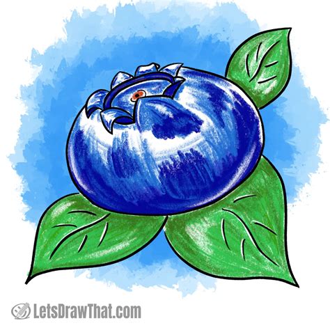 Single Blueberry Drawing