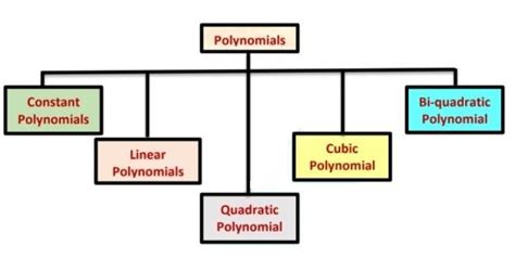 Prepare a chart on Polynomials and it‟s classification. Size of chart ...
