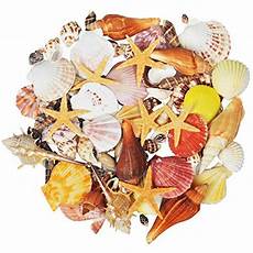 unterwasser tiere malvorlagen hochzeit ootsr meerestiere spielzeug 24 st 252 ck ausgew 228 hlte mini unterwasser tiere malvorlagen hochzeit ootsr meerestiere spielzeug 24 st 252 ck ausgew 228 hlte mini