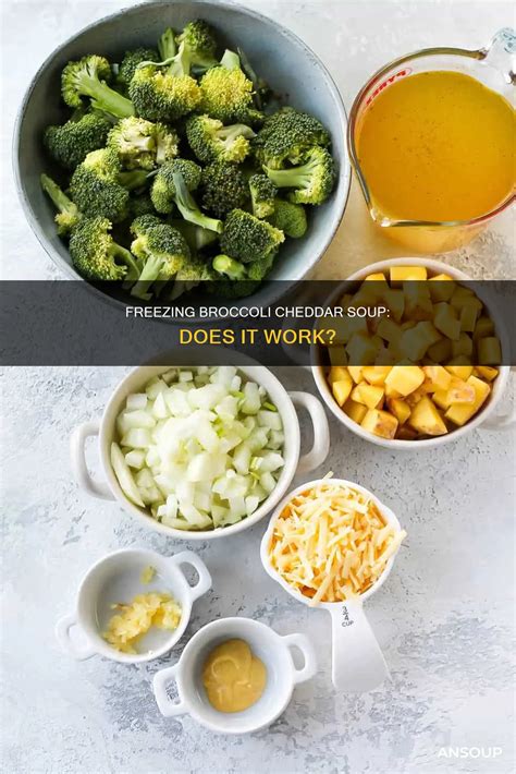 Freezing Broccoli Cheddar Soup: Does It Work? | AnSoup