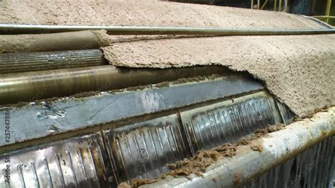 Image result for Pulp Bleaching