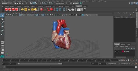 Boy Heart 3D model | 3D Molier International