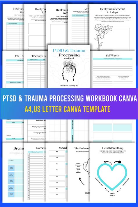 Image result for Trauma Processing PTSD