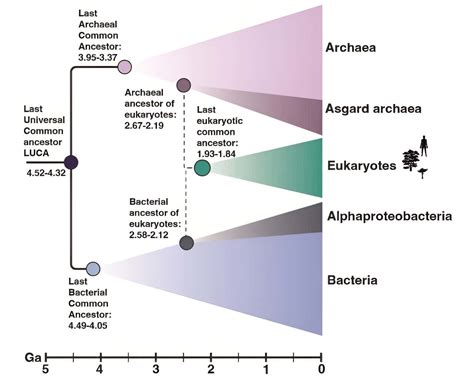 The hunt for LUCA: the Last Universal Common Ancestor was from over 4.3 billion years ago