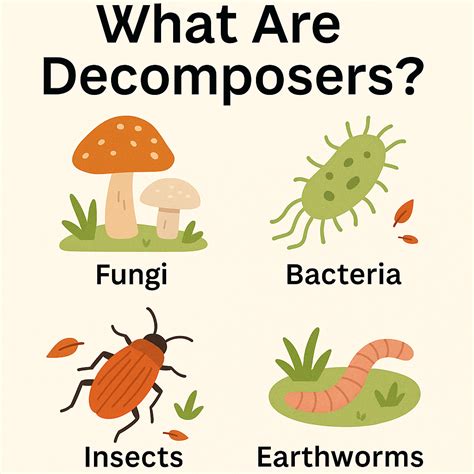 Decomposers science activities for kids - Kids Activities