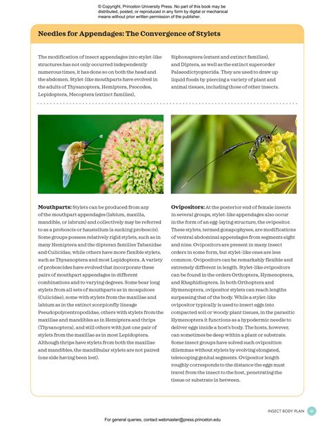 Image result for Insect Reproduction Books