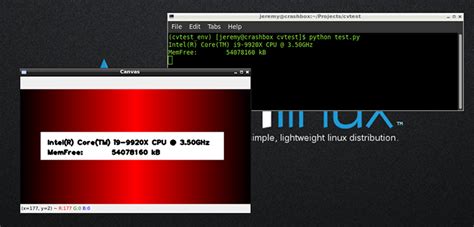OpenCV Install Linux 的图像结果