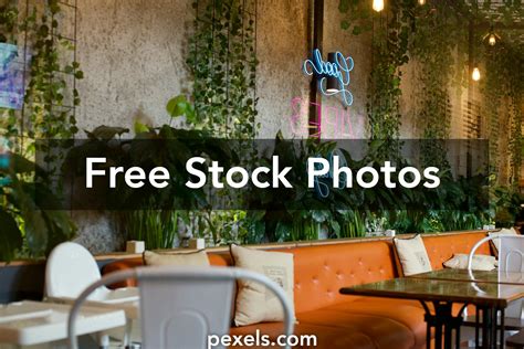 Restaurant Dining Area 的图像结果