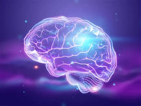 Study finds hot and cold exposure in early life alters brain's white ...