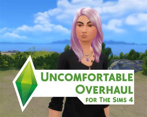 Image result for Sims 4 Mod Constructor Python Issue