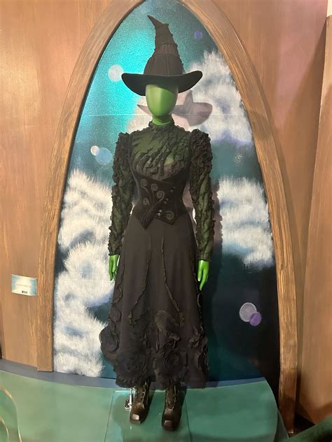 Elphaba from Wicked Costume in 2025 | Wicked costumes, Wicked film ...