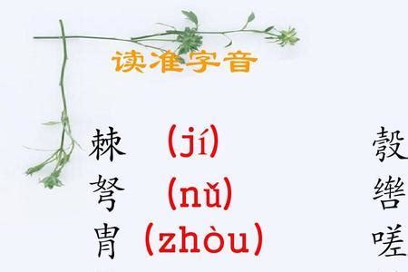 zhαo第三声什么字