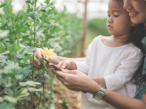 Image result for Spring Fun Day