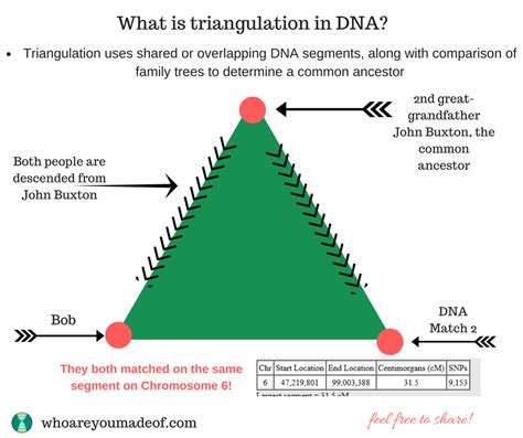 Image result for Ancestry Triangulation