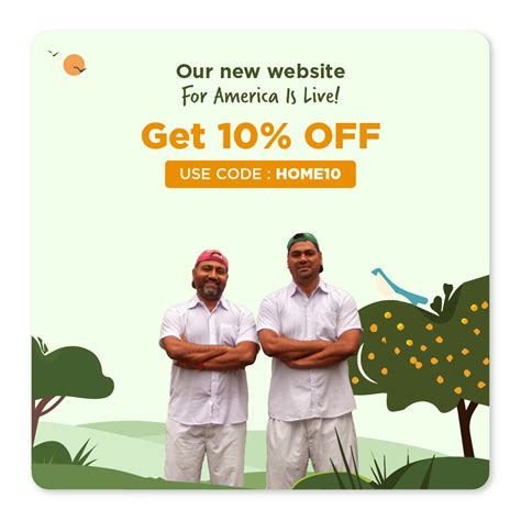 Millet vs. Quinoa: Know These 7 Differences Before You Choose - A Quic