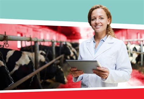 The Best Vet Schools: A Complete List (2020) — Shemmassian Academic ...