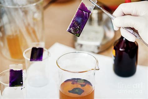 Image result for Microscope Staining