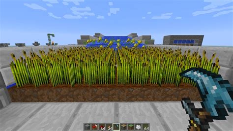 Image result for Wheat Farm 1.18 Java