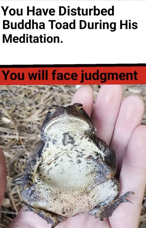 Image result for Toad Voice Meme