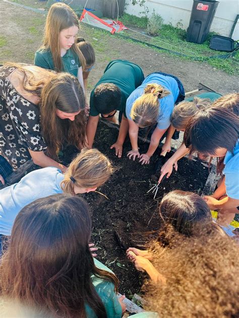 Valor North Austin | Tuition-Free K-12 Classical Charter School — Valor ...