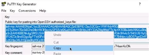 PuTTY Key 的图像结果