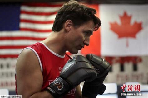 加拿大总理健身房练拳击 秀纹身架势十足(图)|加拿大总理|健身房|纹身_新浪新闻