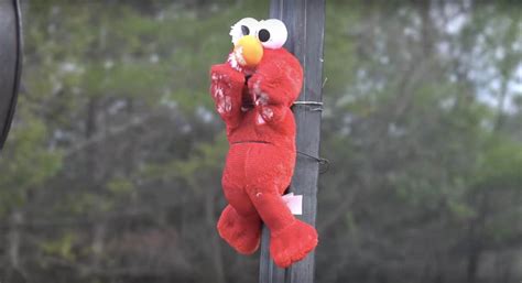 Burn Elmo Toy 的图像结果