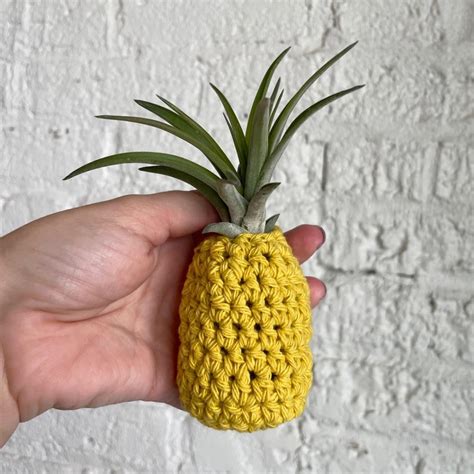 Obsessed with this pineapple air plant holder. Maybe it’ll motivate me to keep them alive 😅 : r ...