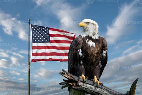 American Freedom Symbol