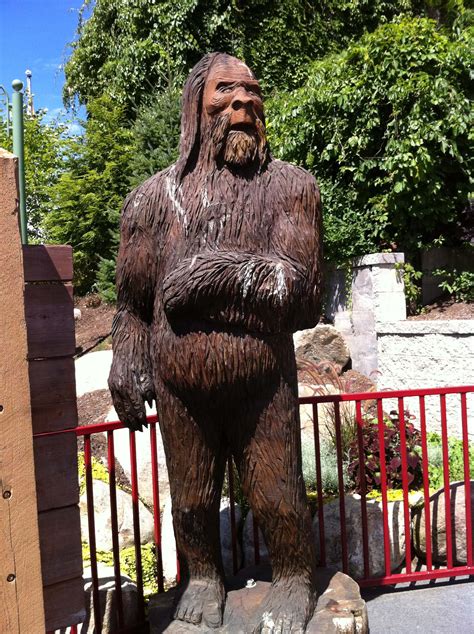 Great Escape - Sasquatch