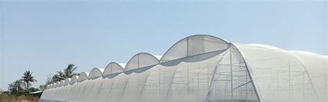 Polyhouse, Greenhouse & Hi-Tech Farming Experts – Agriplast Tech India