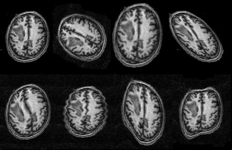 Image result for Affine Pattern Examples Picture